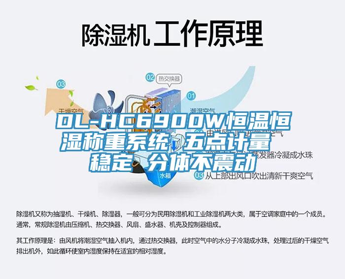 DL-HC6900W恒溫恒濕稱重系統 五點計量 穩定 分體不震動