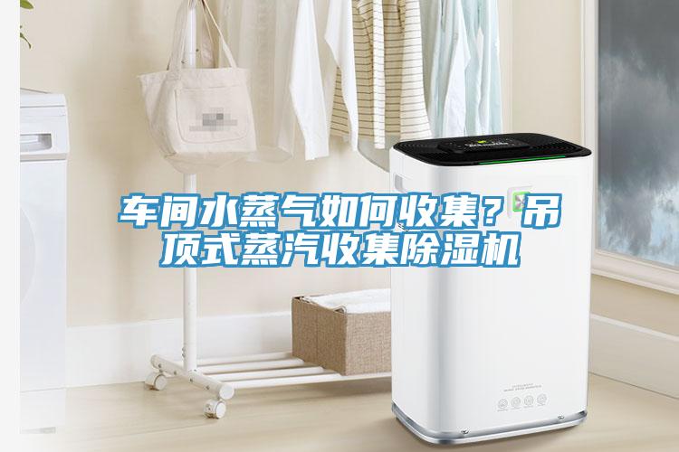 車間水蒸氣如何收集？吊頂式蒸汽收集除濕機