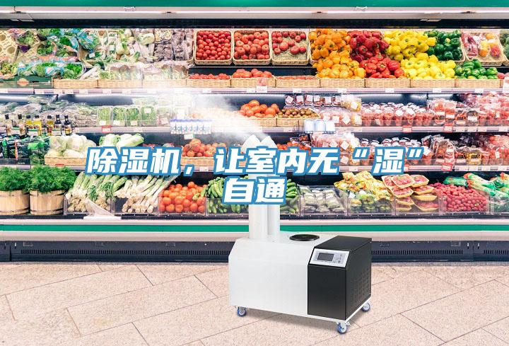 除濕機(jī)，讓室內(nèi)無(wú)“濕”自通