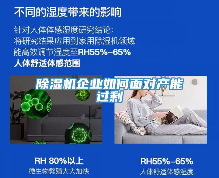 除濕機企業如何面對產能過剩