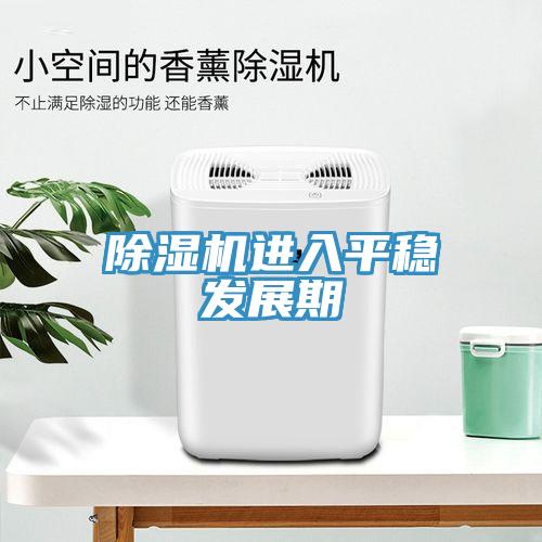 除濕機進入平穩發展期