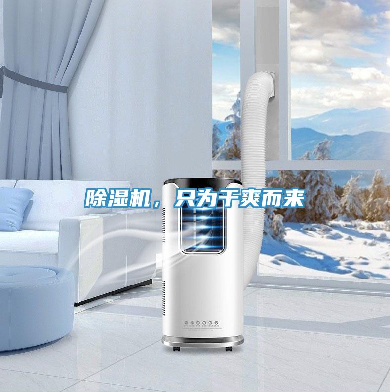 除濕機(jī)，只為干爽而來