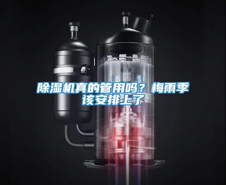除濕機真的管用嗎？梅雨季該安排上了