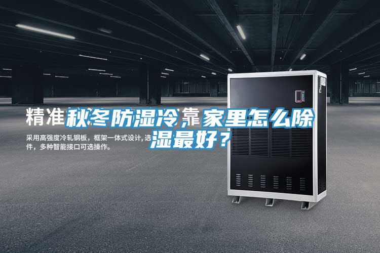 秋冬防濕冷，家里怎么除濕最好？