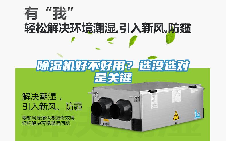 除濕機好不好用？選沒選對是關鍵