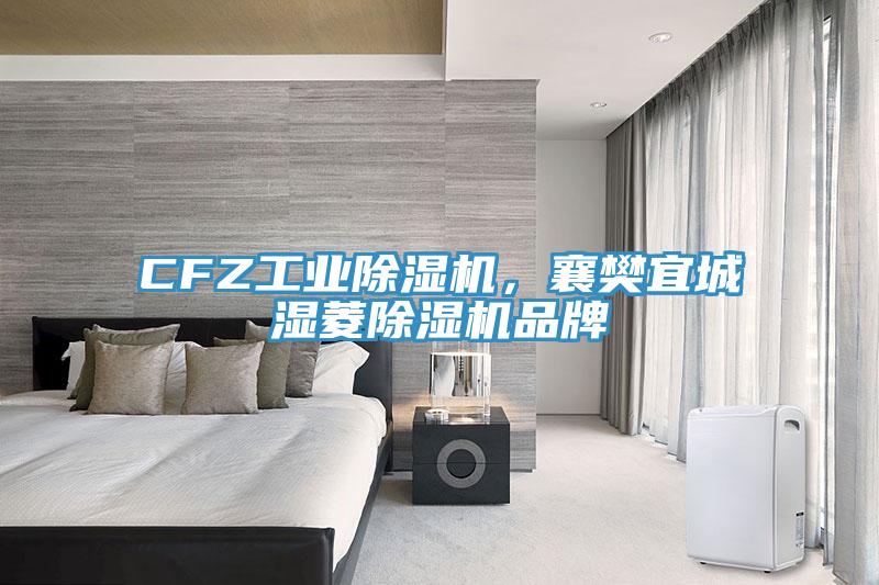 CFZ工業(yè)除濕機(jī)，襄樊宜城濕菱除濕機(jī)品牌