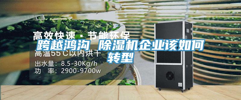 跨越鴻溝 除濕機企業該如何轉型