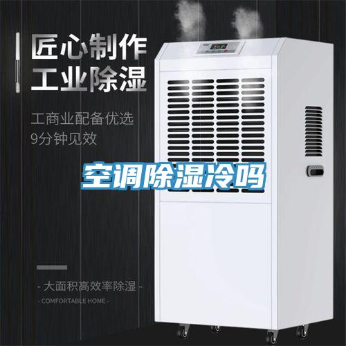 空調除濕冷嗎