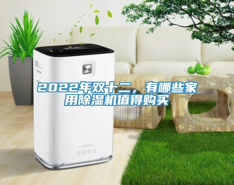 2022年雙十二，有哪些家用除濕機值得購買