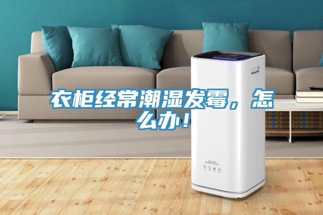 衣柜經常潮濕發霉，怎么辦！