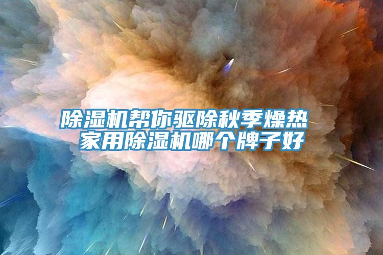 除濕機幫你驅除秋季燥熱 家用除濕機哪個牌子好