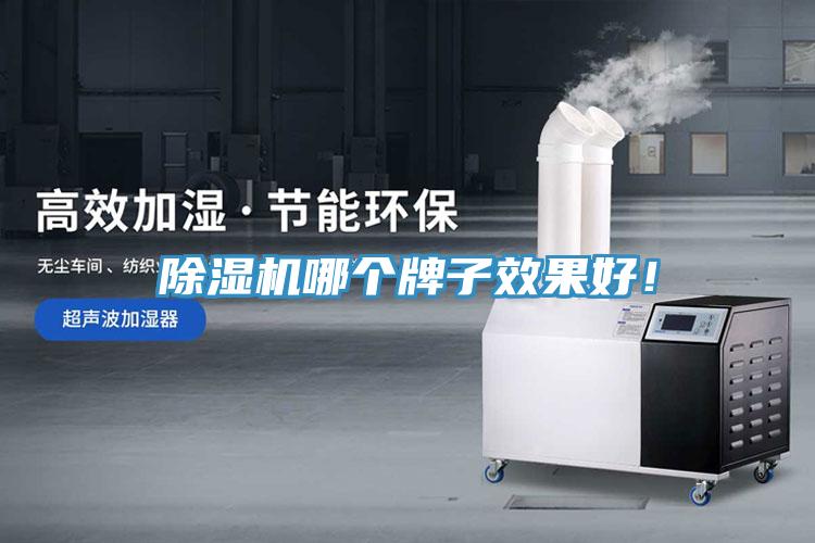 除濕機哪個牌子效果好！