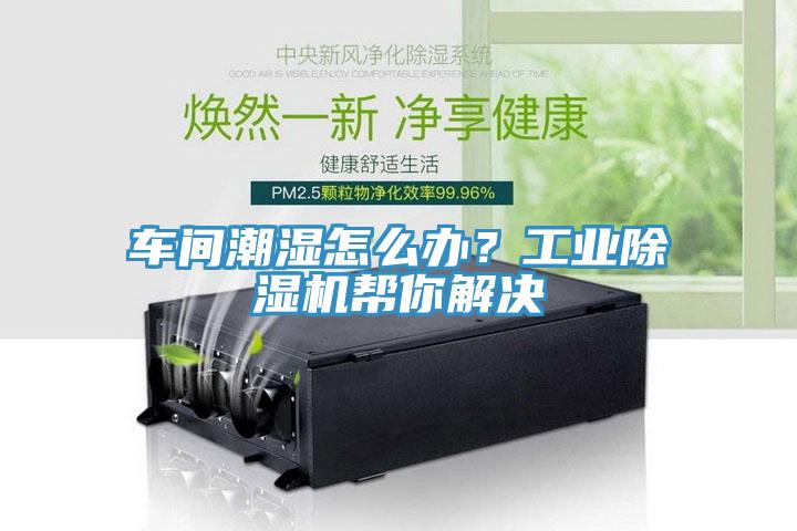 車間潮濕怎么辦？工業除濕機幫你解決
