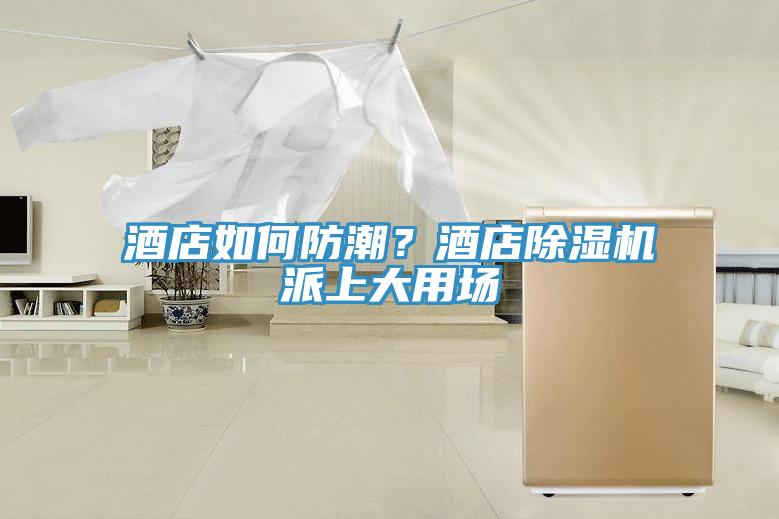 酒店如何防潮？酒店除濕機派上大用場