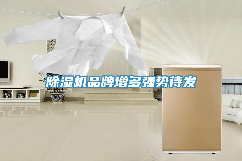 除濕機品牌增多強勢待發