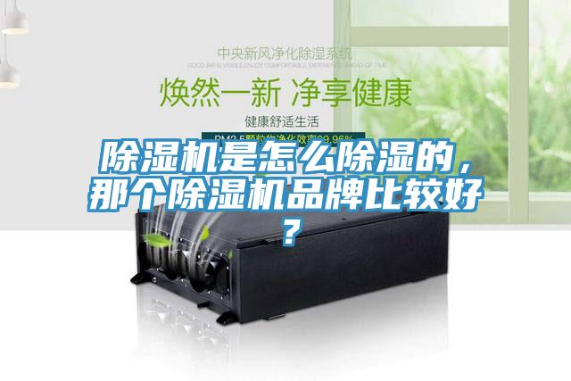 除濕機(jī)是怎么除濕的，那個(gè)除濕機(jī)品牌比較好？