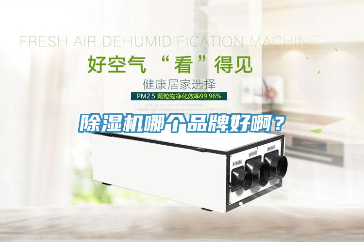 除濕機哪個品牌好啊？