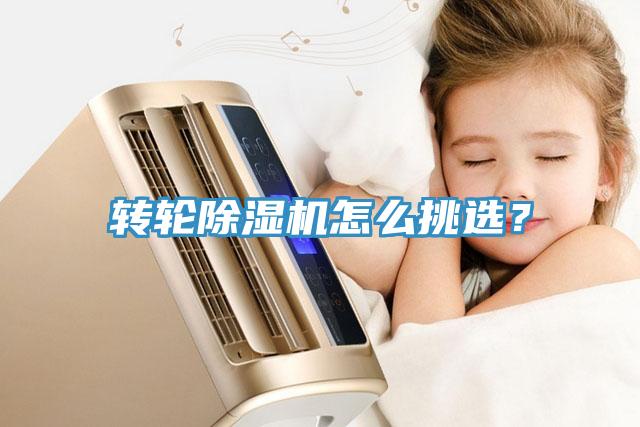 轉(zhuǎn)輪除濕機(jī)怎么挑選？