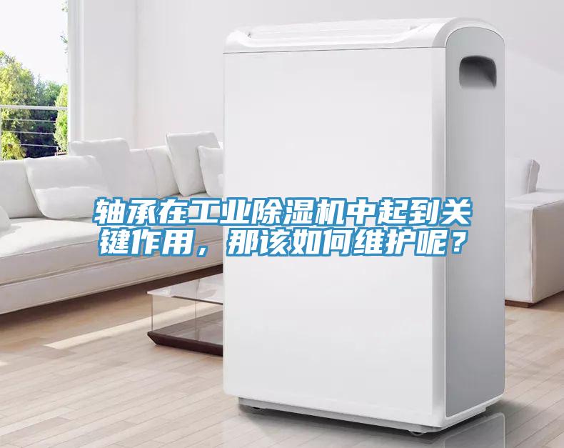 軸承在工業除濕機中起到關鍵作用，那該如何維護呢？