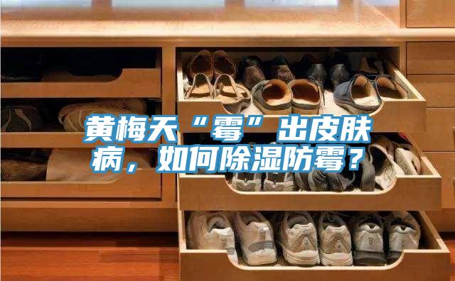 黃梅天“霉”出皮膚病，如何除濕防霉？