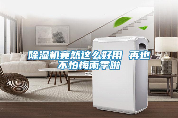 除濕機竟然這么好用 再也不怕梅雨季啦