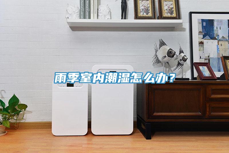 雨季室內潮濕怎么辦？