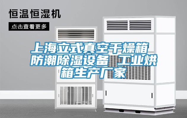 上海立式真空干燥箱 防潮除濕設備 工業烘箱生產廠家