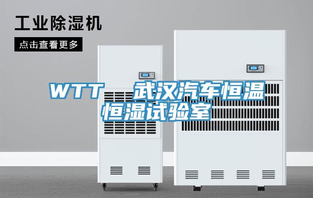 WTT  武漢汽車恒溫恒濕試驗(yàn)室