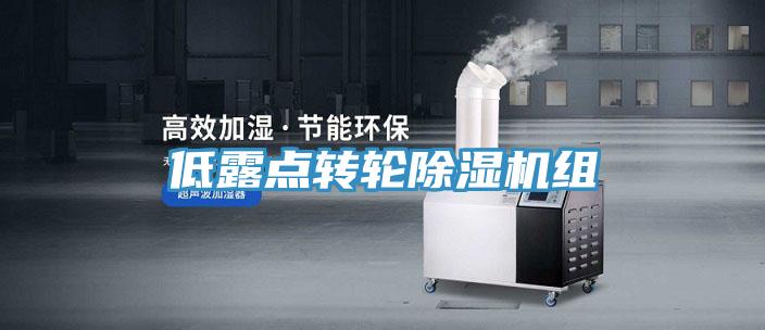 低露點轉(zhuǎn)輪除濕機(jī)組