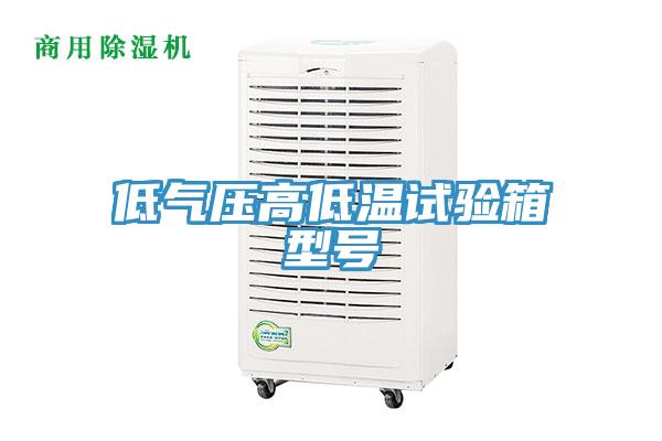 低氣壓高低溫試驗(yàn)箱型號(hào)
