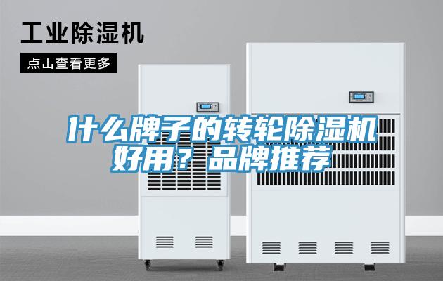 什么牌子的轉輪除濕機好用？品牌推薦