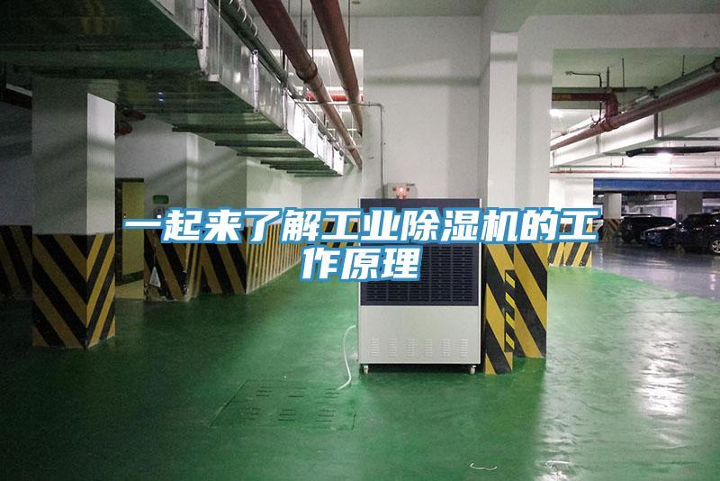 一起來了解工業除濕機的工作原理