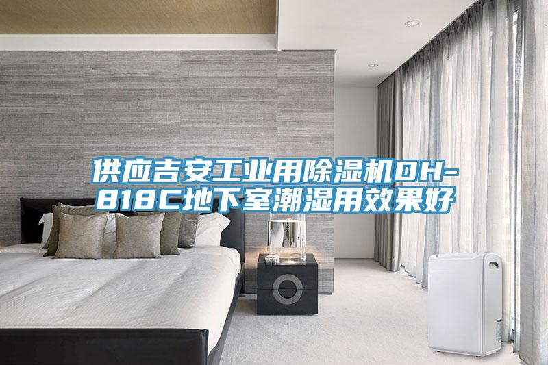 供應吉安工業用除濕機DH-818C地下室潮濕用效果好