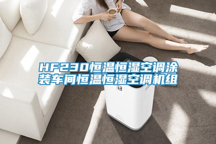 HF230恒溫恒濕空調(diào)涂裝車間恒溫恒濕空調(diào)機組