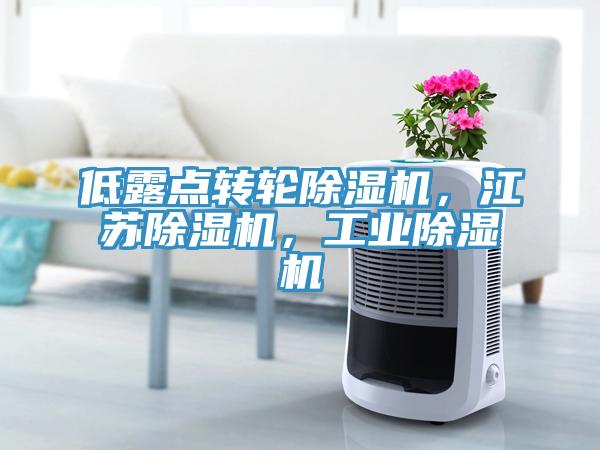 低露點轉(zhuǎn)輪除濕機(jī)，江蘇除濕機(jī)，工業(yè)除濕機(jī)