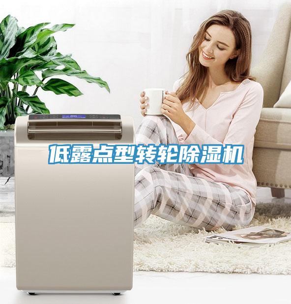 低露點型轉(zhuǎn)輪除濕機(jī)