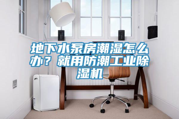 地下水泵房潮濕怎么辦？就用防潮工業(yè)除濕機(jī)