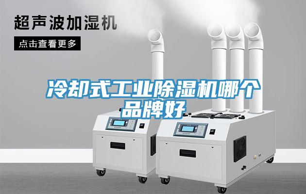 冷卻式工業除濕機哪個品牌好