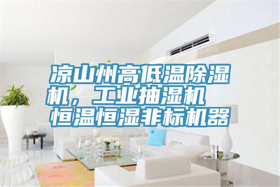 涼山州高低溫除濕機，工業抽濕機  恒溫恒濕非標機器