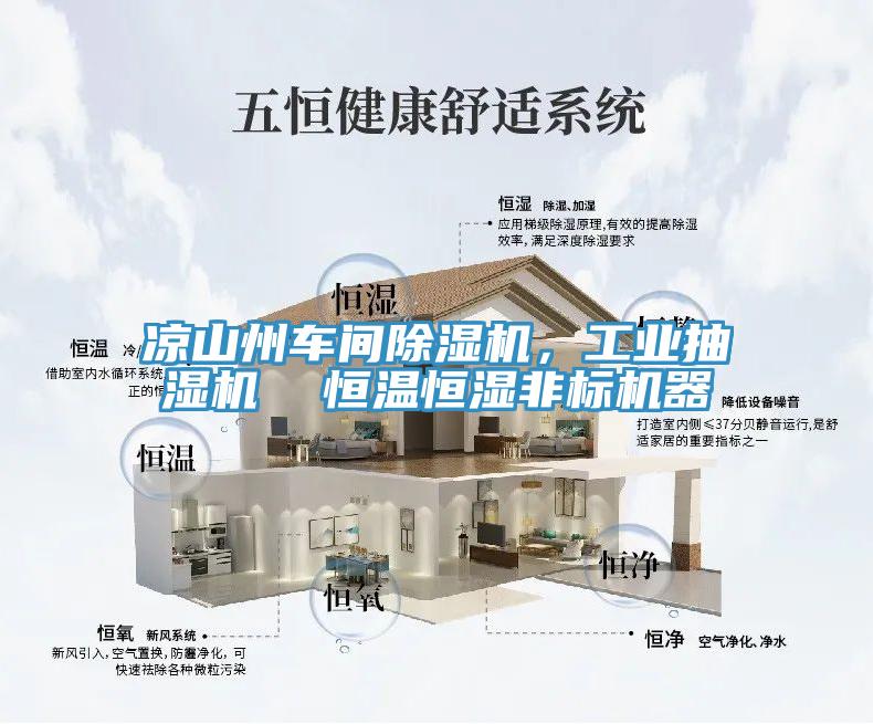 涼山州車間除濕機，工業抽濕機  恒溫恒濕非標機器