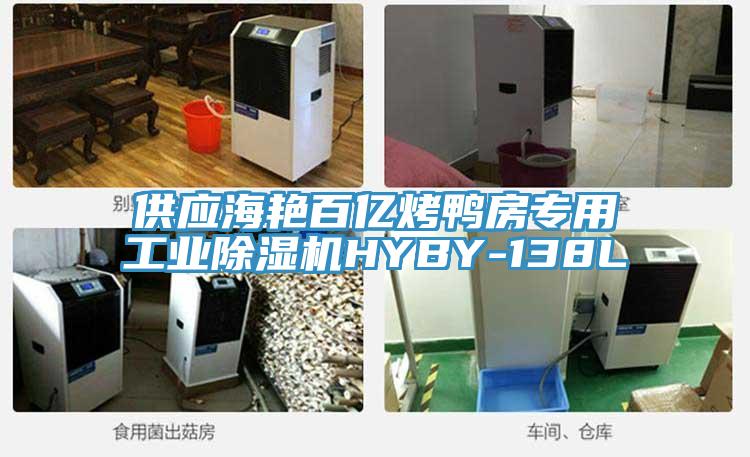 供應(yīng)海艷百億烤鴨房專用工業(yè)除濕機HYBY-138L