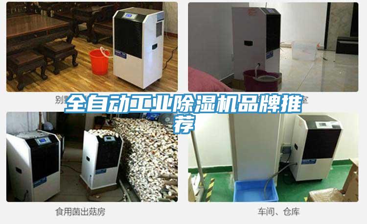 全自動(dòng)工業(yè)除濕機(jī)品牌推薦