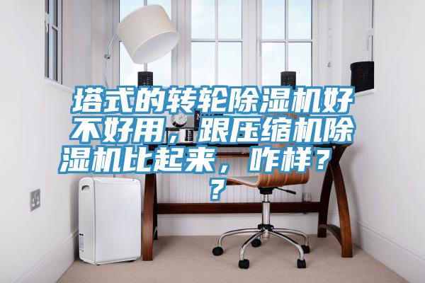 塔式的轉(zhuǎn)輪除濕機(jī)好不好用，跟壓縮機(jī)除濕機(jī)比起來(lái)，咋樣？ ？