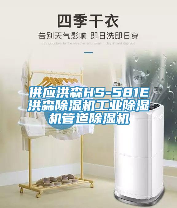 供應(yīng)洪森HS-581E洪森除濕機工業(yè)除濕機管道除濕機