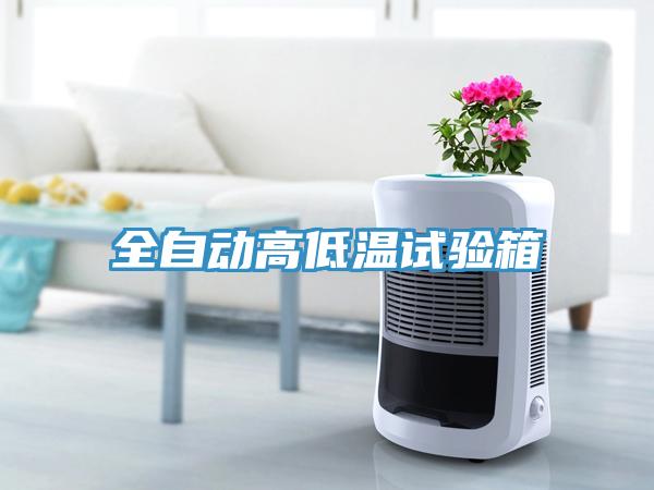 全自動(dòng)高低溫試驗(yàn)箱