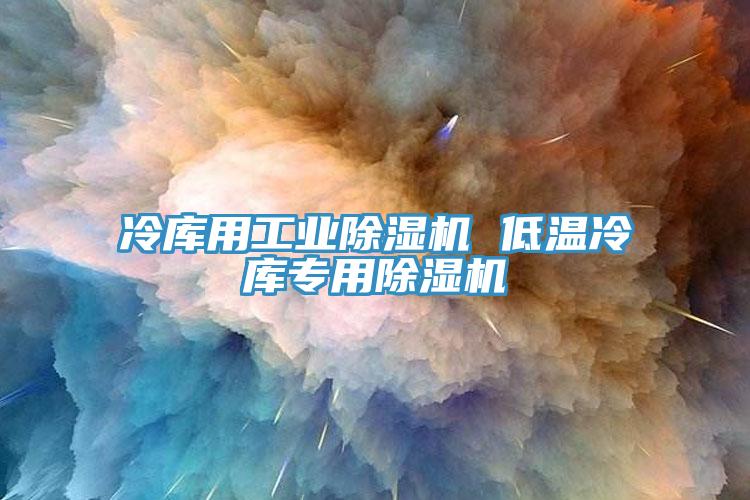 冷庫用工業除濕機 低溫冷庫專用除濕機