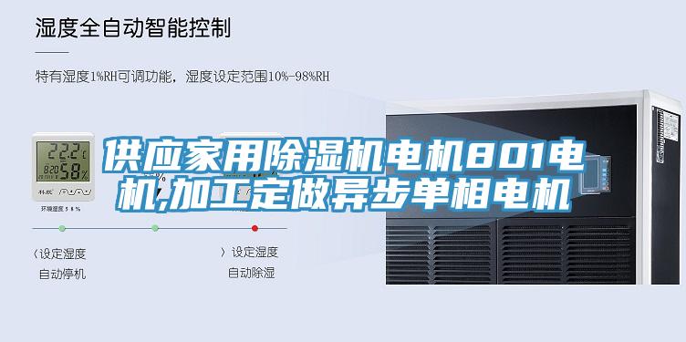 供應(yīng)家用除濕機電機801電機,加工定做異步單相電機