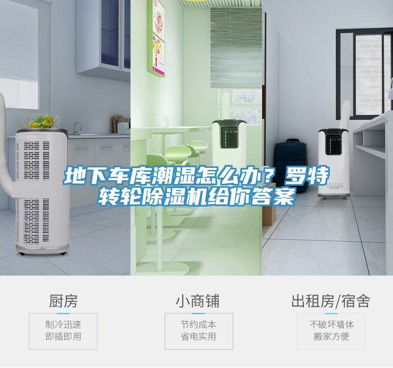 地下車庫潮濕怎么辦？羅特轉(zhuǎn)輪除濕機(jī)給你答案