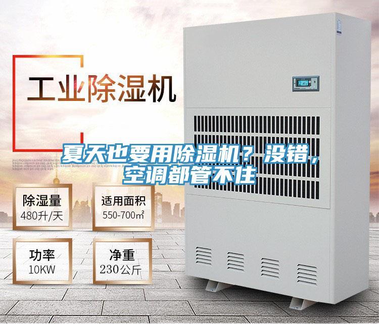 夏天也要用除濕機(jī)？沒錯(cuò)，空調(diào)都管不住
