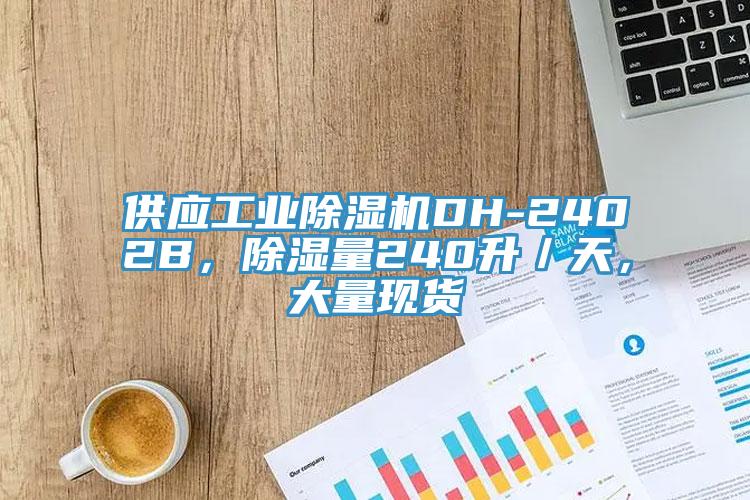 供應(yīng)工業(yè)除濕機DH-2402B，除濕量240升／天，大量現(xiàn)貨